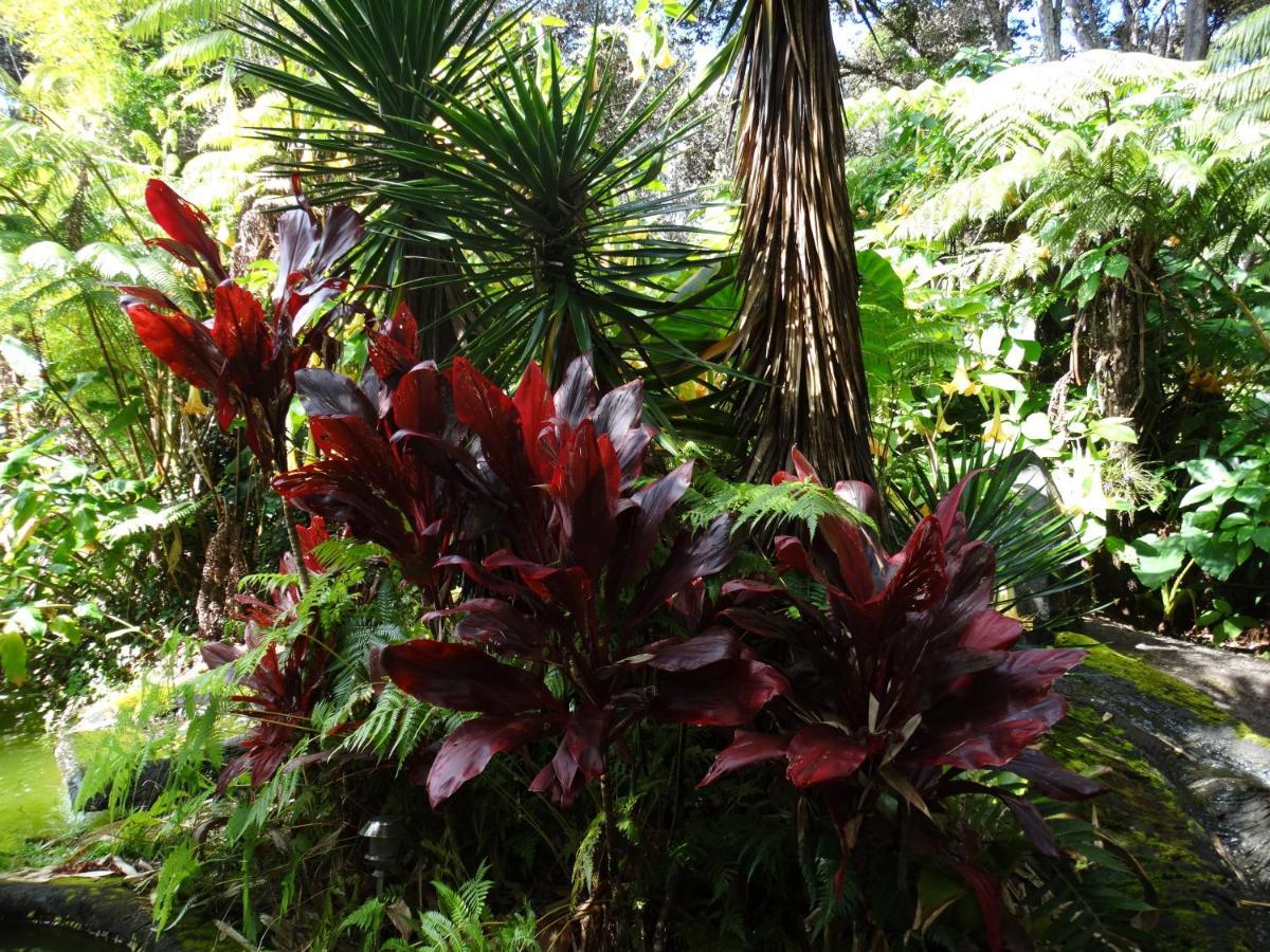 וולקנו Chalet Kilauea מראה חיצוני תמונה